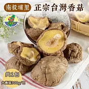 【禾鴻】南投埔里產地直送正宗臺灣大香菇大包裝(300g/包)x1包