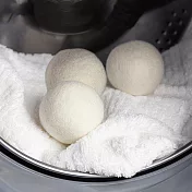 羊毛速乾烘衣球-3入x2盒