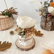 【The Forest 癒森林】 秋日里奶茶香氛擴香花(附贈5ml香氛油)