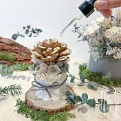 【The Forest 癒森林】六本木之森香氛擴香花