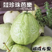 【阿成水果】高雄燕巢珍珠芭樂(11~15粒/4.8kg/盒)
