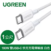 綠聯 100W 雙USB-C 快充充電線/傳輸線 彩虹編織版 無 白色