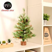 摩達客耶誕-60cm高級開花黃枝松針原木底座聖誕樹裸樹/不含配件/本島免運費