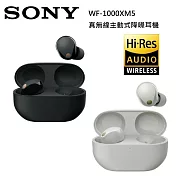 【限時快閃】SONY 索尼 WF-1000XM5 主動式降噪 真無線入耳式耳機 台灣公司貨 銀色 銀色