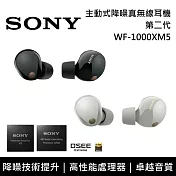 【註冊送100】SONY 索尼 WF-1000XM5 主動式降噪 真無線入耳式耳機 台灣公司貨 銀色