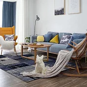 【Fuwaly】牛仔地毯 160x230cm