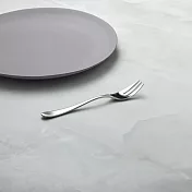 有種創意 - 日本山崎金屬 - AQUATIQUE系列 - 霧面不鏽鋼點心叉  (137 mm)