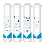 濱特爾Everpure櫥下智慧型飲水器F2-UF專用濾心組(一年份)