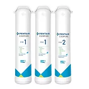 Everpure櫥下智慧型飲水器F2200專用濾心組(一年份) 白