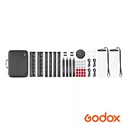 Godox 神牛 TL30 RGB條燈 四燈組 正成公司貨