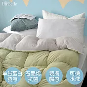 義大利La Belle《韓式雙色抑菌暖膚絨石墨烯發熱可水洗冬被》--雙人(綠x灰)