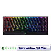 Razer 雷蛇 BlackWidow V3 Mini 65% 黑寡婦蜘幻彩版鍵盤 無線 布丁鍵帽 英文 綠軸