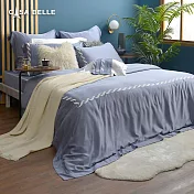法國CASA BELLE《如夢初覺》雙人天絲刺繡四件式防蹣抗菌吸濕排汗兩用被床包組(共兩色)-灰色