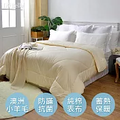 義大利La Belle《100%澳洲純新小羊毛防蟎抗菌暖冬被》--雙人