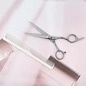 SUNDEN專業不鏽鋼美髮剪+無痕不鏽鋼打薄剪+髮梳-2件組