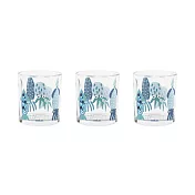 《EXCELSA》玻璃杯3入 | 水杯 茶杯 咖啡杯 - 魷魚220ml