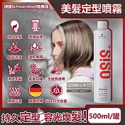 德國Schwarzkopf施華蔻-OSiS+ SESSION極致定型瞬乾持久美髮造型噴霧500ml/消光灰罐(3號黑炫風專業沙龍,防潮耐汗防熱塑型髮類噴劑)