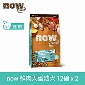 Now! 即期品(效期26.06.18) 大型幼犬/懷孕犬鮮肉配方 12磅 2件組 狗狗無穀天然糧 | 狗糧 狗飼料 大型犬 火雞 鴨肉 鮭魚 葡萄糖胺 軟骨素