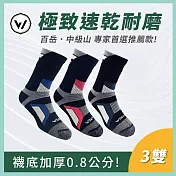 【WOAWOA】混搭3入組 銀纖維運動羊毛登山襪【加贈百岳中筒1雙】 M(22-24公分)混搭3雙+百岳中筒M