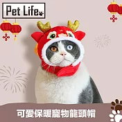 Pet Life 精細刺繡魔鬼氈速戴 可愛保暖寵物龍頭帽