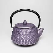 福介商店 日本南部鐵器 鑄鐵茶壺 巖戶鑄工所 九重龜甲 彩壺0.3L 銀紫