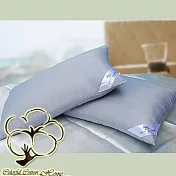 采棉居寢飾文化館 竹炭壓縮枕 2入