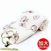 采棉居寢飾文化館 同花順銀離子涼被(加大)