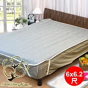 采棉居寢飾文化館 石墨烯抗菌保潔墊6x6.2尺