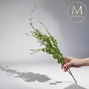 【Floral M】法式鄉村田園鼠尾草晨曦白仿真花花材（1入/組）