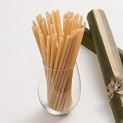 【100%植】環保標章認證吸管 環保吸管 甘蔗吸管6*210mm 100入 斜口(封膜飲用)