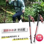 成功SUCCESS 初階快扣款登山杖 AL033 超值2入組