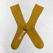 【LEEDS WEATHER】 乾燥感・機能美學羅紋襪∣藤黃果∣ 25 - 28 cm