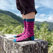 【LEEDS WEATHER】 Tournament - 翹鬍可可棕∣抑菌除臭、台灣製∣設計襪  酒紅色∣23 - 28 cm