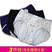 【華歌爾】少女生理褲M-LL(日間或夜間隨機)BS系列生理褲 其他 LL (日間X2+夜間X1)