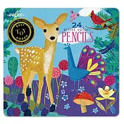 eeBoo 24色水鉛筆(鐵盒) Life on Earth Color Pencils 可愛生物
