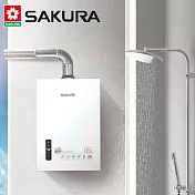 【SAKURA 櫻花】16L 四季溫智慧恆溫熱水器DH1635F (桶裝瓦斯LPG) FE式 送安裝