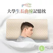 GreySa格蕾莎【大學生長曲線記憶枕L-165】 格紋