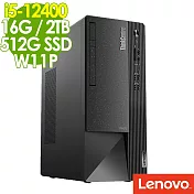 Lenovo Neo 50t (i5-12400/16G/2TB+512SSD/W11P)