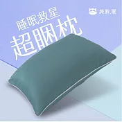 純粹眠｜馬卡龍系-超睏枕 天絲滑順觸感（謐靜綠） 一般款