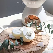 【The Forest 癒森林】香氛蠟塊4入組- 海洋之露