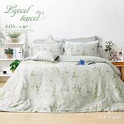 【DUYAN 竹漾】60支萊賽爾天絲雙人床包三件組 / 新枝綠意 台灣製