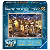 德國Ravensburger維寶拼圖 Escape系列神秘博物館(368P)