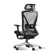 STYLE格調 Ergo 3D曲面頸部支撐人體工學椅/辦公椅 灰網
