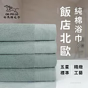 【OKPOLO】臺灣製造飯店北歐純棉浴巾-2入組(五星飯店首選) 碧波綠