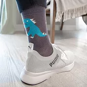 【LEEDS WEATHER】Roar! - 恐龍莫蘭迪風 ∣抑菌除臭、台灣製∣中筒襪 23 - 28 cm