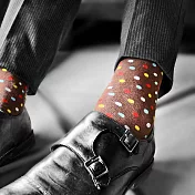 【LEEDS WEATHER】Swiss Chocolate -彩色波卡點點 ∣抑菌除臭、台灣製∣中筒襪 23 - 28 cm