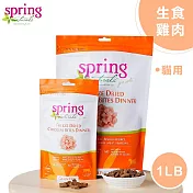 美國 Spring Naturals 曙光全齡貓主食_冷凍乾燥雞肉凍乾生食_1LB