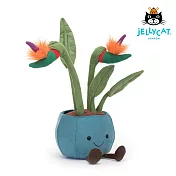 英國 JELLYCAT 38cm 天堂鳥盆栽 Amuseable Bird of Paradise