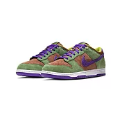 Nike Dunk Low Veneer 棕綠 醜小鴨 男鞋 休閒鞋 DA1469-200 US5.5 棕綠紫