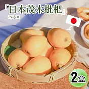 【優鮮配】初夏的味蕾-空運日本長崎縣溫室茂木枇杷2盒(250g/盒/6-8顆)免運
